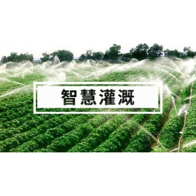 智慧灌溉解決方案